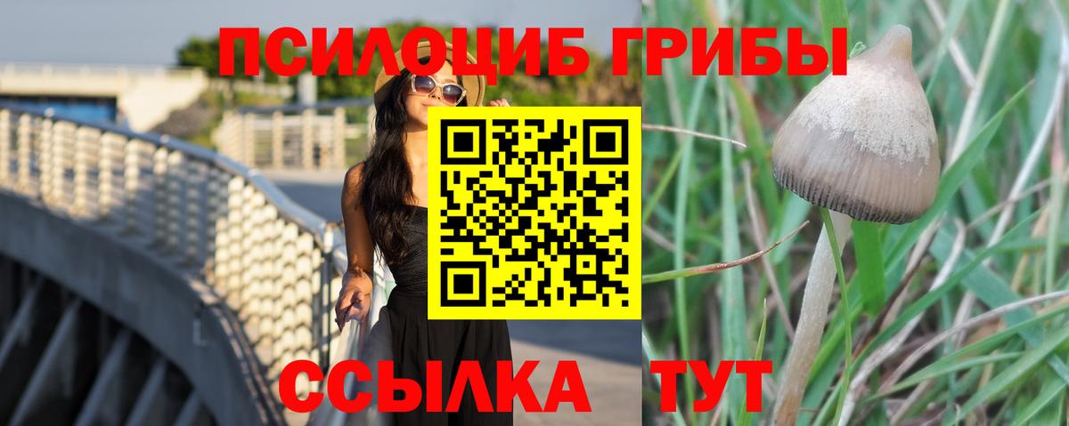 Псилоцибиновые грибы MAGIC MUSHROOMS  Вход с VPN  Скопин 
